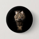 Pesquisar por maine botons Gato