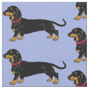 Pesquisar por cão salsicha artesanato material Qualquer pessoa