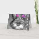 Pesquisar por cartão schnauzer cartoes Pup