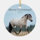 Pesquisar por wild ornamentos De natal