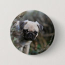 Pesquisar por pug pug botons Headshot