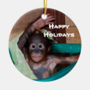 Pesquisar por sorriso feliz ornamentos Animal
