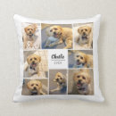Pesquisar por foto animal almofadas Colagem