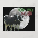 Pesquisar por vacas engraçadas cartoes postais For him