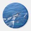 Pesquisar por golfinho azul imas Oceano