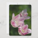 Pesquisar por tulipas cor de rosa convites Flores