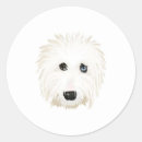 Pesquisar por sheepdog adesivos Velho