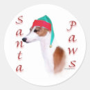 Pesquisar por galgo italiano adesivos Animais