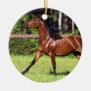 Pesquisar por cavalo árabe ornamentos Foto