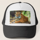 Pesquisar por tigres bones For him