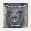 Pesquisar por funny imas Fofofo