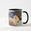 Pesquisar por pitbull americano canecas Pitbulls