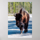 Pesquisar por nationale pósteres pôsteres Wyoming