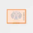 Pesquisar por canino post its Animal