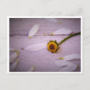 Pesquisar por margaret cartoes postais Fotografia