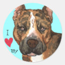 Pesquisar por american staffordshire terrier adesivos Funcionarios