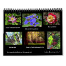 Pesquisar por calendário da natureza calendarios Pássaros