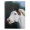 Pesquisar por pinte o cavalo cadernos de notas Headshot