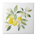 Pesquisar por limão azulejos Mediterrâneo