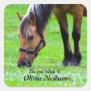 Pesquisar por livro pertence adesivos Fofofo