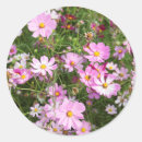 Pesquisar por close up adesivos Dia