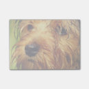 Pesquisar por canino post its Cão