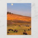 Pesquisar por oeste americano cartoes postais Natureza