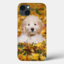 Pesquisar por dog eletronicos Animal