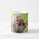Pesquisar por gato bengal canecas Gatos