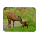 Pesquisar por momma imas Mamã