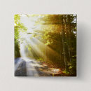 Pesquisar por feixes Natureza