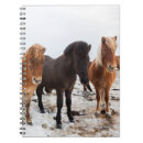 Pesquisar por islândia cadernos de notas Animal