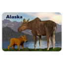 Pesquisar por alce imas Alaska