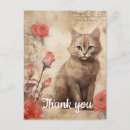 Pesquisar por gatinhos do vintage cartoes Vermelho