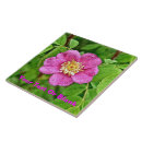 Pesquisar por selvagem azulejos Rosa