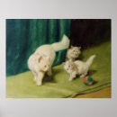 Pesquisar por gato persa branco pôsteres Gatos
