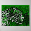Pesquisar por jaguares Floresta tropical