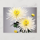Pesquisar por bold cartoes postais Floral