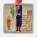 Pesquisar por erval ornamentos Planta