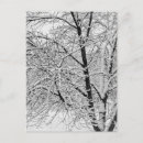 Pesquisar por coberto de neve cartoes postais Árvore