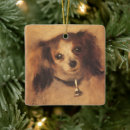 Pesquisar por cavalier ornamentos Animais de estimação