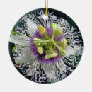 Pesquisar por flor da paixão Floral