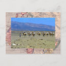 Pesquisar por sahara deserto cartoes postais Africano