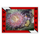 Pesquisar por autonoma cartoes postais Oceano