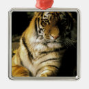 Pesquisar por detroit ornamentos América do norte