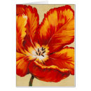 Pesquisar por tulipa papagaio cartoes postais Botânico