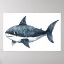 Pesquisar por peixe pequeno pósteres pôsteres Fofofo