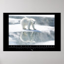 Pesquisar por urso polar pôsteres Psto em perigo