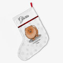 Pesquisar por mãe meias de natal Cão