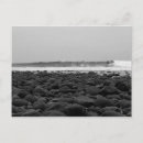 Pesquisar por surfar cartoes postais Califórnia